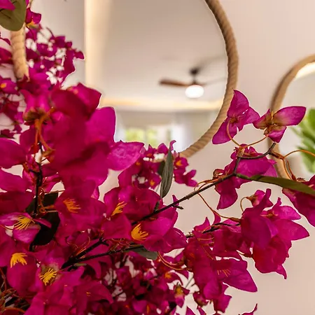 Cozy Between The Port And The La Rada アパート